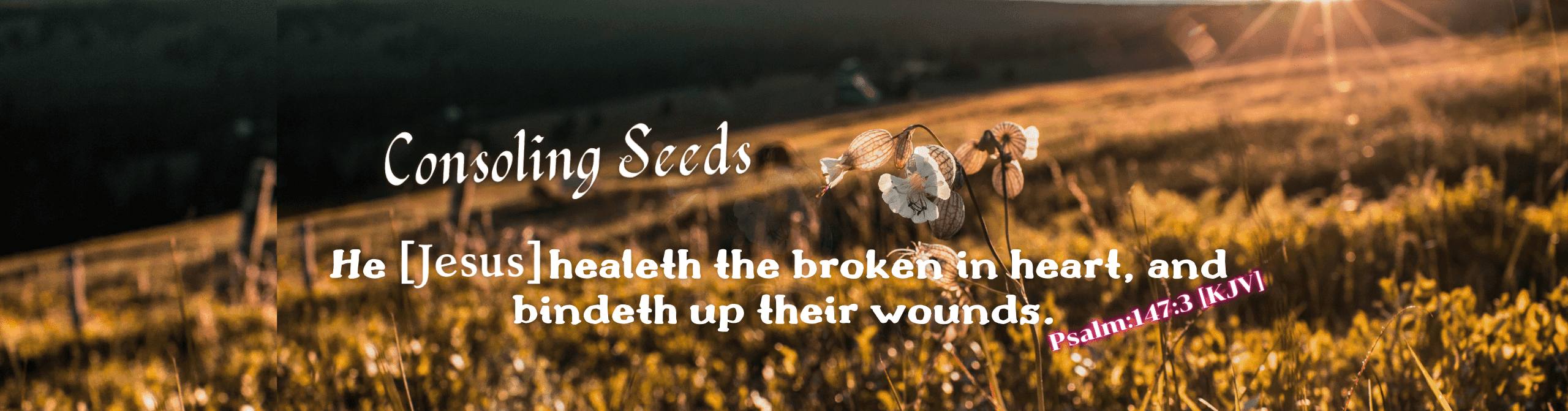 health the broken heart
